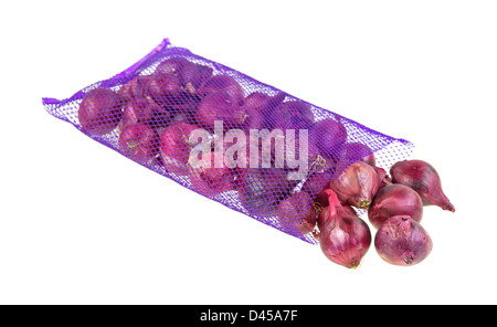 Un viola borsa a rete con piccolo rosso cipolline su uno sfondo bianco. Foto Stock