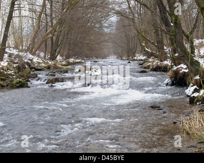 Fiume 'White Rain' Foresta Bavarese Germania / Fluss " Weisser Regen' Bayerischer Wald Deutschland in inverno Foto Stock