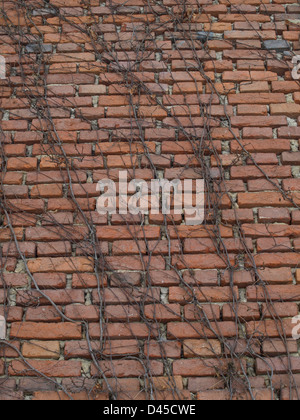 Parte anteriore di una vecchia casa di mattoni / Fassade eines alten Backsteinhauses Foto Stock