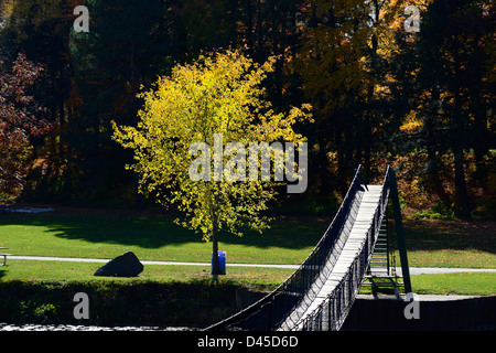 A piedi il ponte di sospensione su acqua in autunno autunno MI Foto Stock
