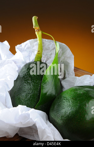 Primo piano di due raccolte fresche avocado con il gambo e le foglie in un legno cassa di imballaggio e carta tessuto. Foto Stock