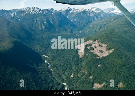 Una vista aerea di un taglio trasparente sopra una valle del fiume nella foresta pluviale del Great Bear, vicino alla città di Bella Coola, Columbia Britannica, Canada. Foto Stock