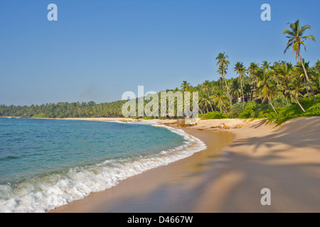 Alba e le onde che si infrangono sulla spiaggia tropicale con una frangia di palme Foto Stock