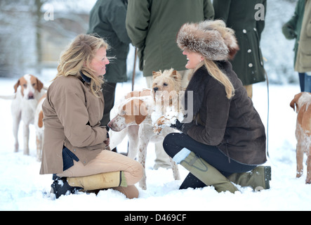 Due signore sollevare i loro Norfolk Terrier cane lontano da curiosi hounds nel corso di una riunione del Beaufort Hunt nel Parco di Badminton Foto Stock