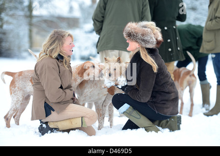 Due signore sollevare i loro Norfolk Terrier cane lontano da curiosi hounds nel corso di una riunione del Beaufort Hunt nel Parco di Badminton Foto Stock