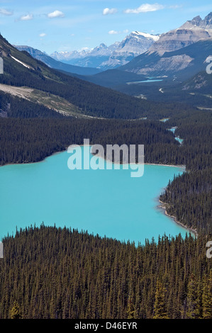 Il Lago Peyto, un ghiacciaio-lago alimentato nelle Montagne Rocciose Canadesi Foto Stock