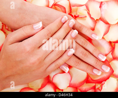 French Manicure e red rose Foto Stock