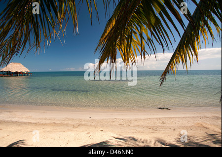 The Inn at Robert Grove; Placencia Belize Foto Stock