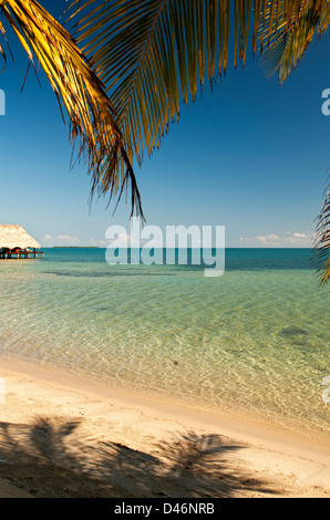 The Inn at Robert Grove; Placencia Belize Foto Stock