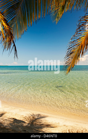 The Inn at Robert Grove; Placencia Belize Foto Stock