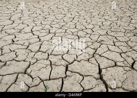 Cracking secco terreno argilloso lago bed pattern. Andhra Pradesh, India Foto Stock