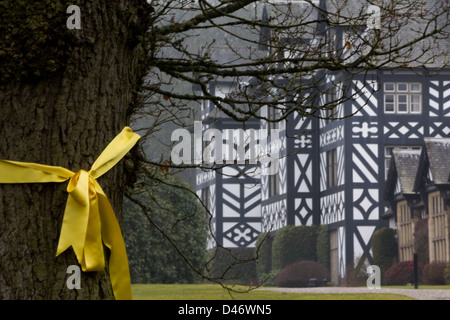 Un nastro giallo legato attorno a un albero Gregynog Hall, Powys, in una zona residenziale di studio e di eventi centro dell'Università del Galles. Foto Stock