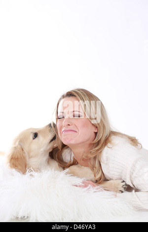Golden Retriever. Cucciolo sdraiato su un tappeto di pecora mentre leccare la guancia di una giovane waoman che giace accanto a lui. Studio Immagine contro Foto Stock
