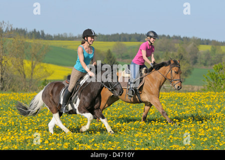 Pony. Due allegro giovani piloti sul retro del pony galopping in un prato fiorito in primavera Foto Stock