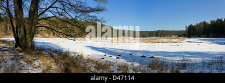Ampia vista panoramica sulla foresta prato ricoperto dalla neve. Foto Stock