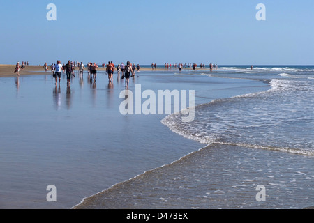 Maspalomas Playa del Ingles spagna isole canarie Gran Canaria Foto Stock