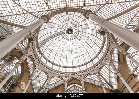 Cupola della grande conservatorio, Syon House, a ovest di Londra - Inghilterra Foto Stock