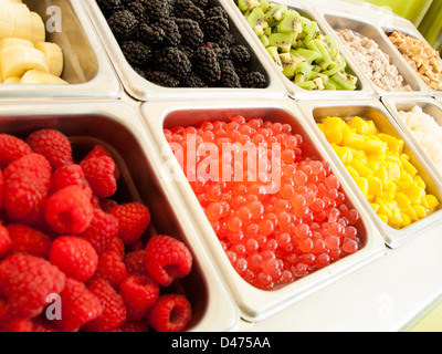 ‎Frozen yogurt condimenti bar. Yogurt condimenti che spaziano dalla frutta fresca, frutta secca, fresh-cut caramelle, sciroppi e spruzza. Foto Stock