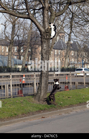 Cane che insegue un gatto su un albero, Regno Unito Foto Stock