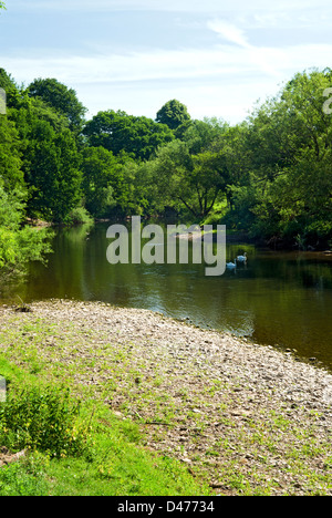 Il Fiume Usk dalla Usk Valley a piedi, Bryn vicino a Abergavenny, Monmouthshire, Galles. Foto Stock