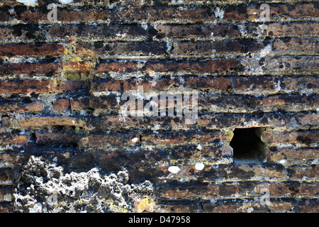 Rovine, la grande Basilica, antica Butrinto, Sito Patrimonio Mondiale dell'UNESCO, Butrinto Parco Nazionale, Saranda distretto, Sud Albania, Foto Stock