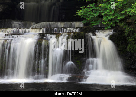 Forza elastica cascata, Fiume Ure, Wensleydale; Yorkshire Dales National Park, England, Regno Unito Foto Stock