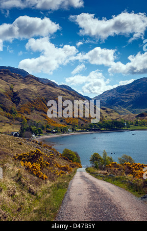 Arnisdale sulle rive di Loch Hourn, altopiani, Scotland Regno Unito Foto Stock