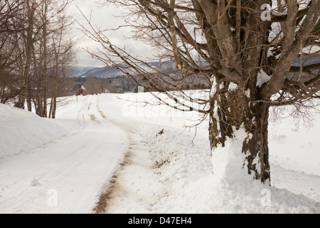 Strada rurale nella neve, Rochester Vermont, USA Foto Stock