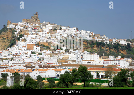 Case bianche sulla collina, Arcos de la Frontera, Spagna Foto Stock