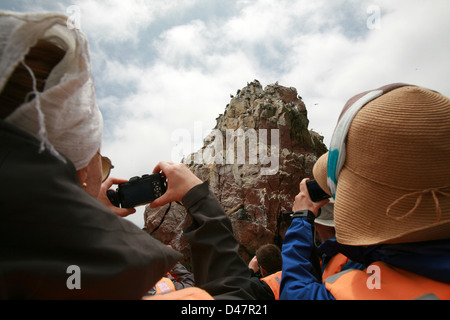 I turisti fotografare isole Ballestas, Oceano Pacifico, Perù uccelli marini battenti nidificazione sulle formazioni rocciose Foto Stock