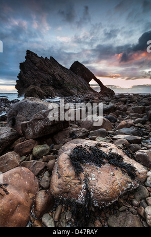 Archetto del violino di roccia su Moray costa della Scozia. Foto Stock