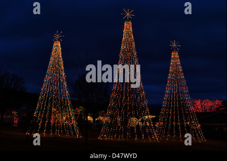 Alberi di Natale con una stella sulla parte superiore, delineato in vacanza luci di decorazione contro un cielo notturno. Foto Stock