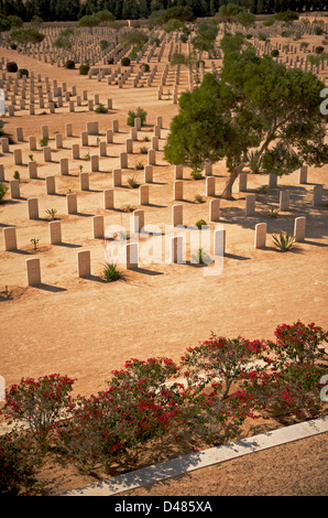 Tombe di guerra nel Deserto del Sahara al Commonwealth cimitero di El Alamein, Egitto Foto Stock