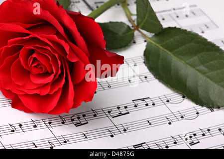 Red Rose sul foglio di musica. Foto Stock