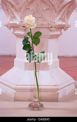 Una rosa bianca sorge nei pressi del battistero di Joseph Ratzinger nel S. Osvaldo chiesa nel villaggio bavarese Marktl durante le ultime ore del pontificato di Joseph Ratzinger come Papa Benedetto XVI. Foto Stock