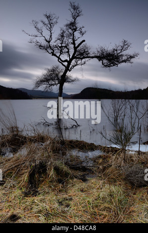 Sunrise a Loch Pityoulish - Cairngorms National Park - Scozia, Regno Unito Foto Stock