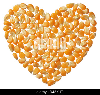 Cuore del kernel Popcorn isolati su sfondo bianco Foto Stock