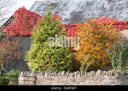 Fienile circondato da alberi colorati in autunno Foto Stock