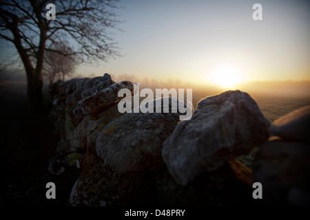 Il sorgere del sole su un gelido muro di pietra in Sigsarve, Gotland (Svezia). Foto Stock