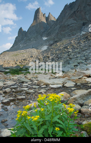 La guerra di picco del cofano del Cirque delle torri, Popo Agie Wilderness, Wind River gamma Wyoming Foto Stock