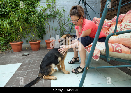 Wroclaw, Polonia, una giovane donna di carezze Schaeferhund Foto Stock