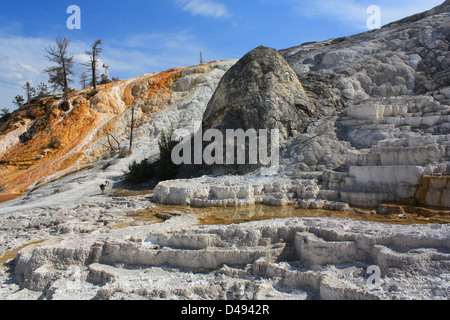 Parco Nazionale di Yellowstone, Mammoth Hot Spring, Parco County, Wyoming negli Stati Uniti, Foto Stock