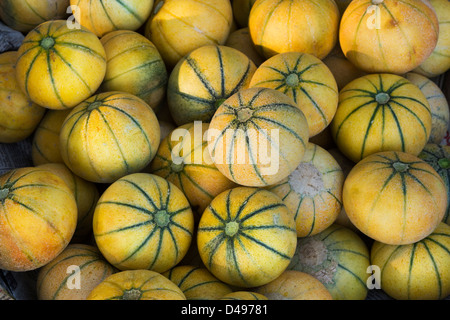 Meloni freschi per la vendita in un mercato indiano. Andhra Pradesh, India Foto Stock