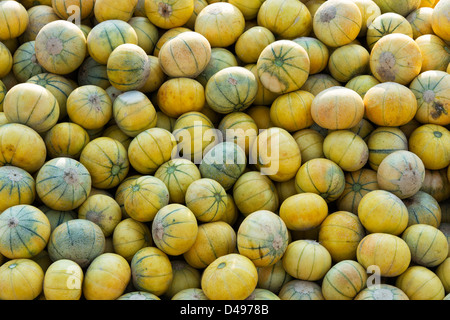 Meloni freschi per la vendita in un mercato indiano. Andhra Pradesh, India Foto Stock