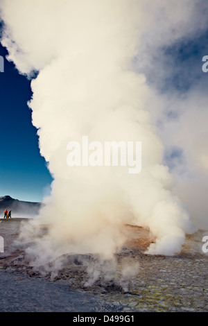 Sol de Manana, cottura a vapore geotermico e campo di geyser, Reserva Nacional de fauna Andina Eduardo Abaroa, Bolivia, Sud America Foto Stock