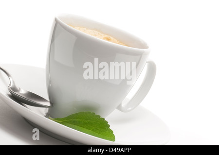 La stevia pianta e tazza di caffè, sfondo decorativo per il bordo sinistro di una pagina Foto Stock