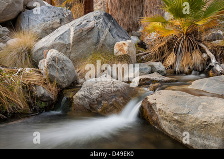 Creek Andreas Canyon, uno dei Canyon Indiani sull'Agua Caliente indiano prenotazione vicino a Palm Springs, California. Foto Stock
