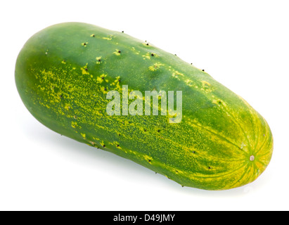 Cetriolo gigante surmature isolati su sfondo bianco Foto Stock