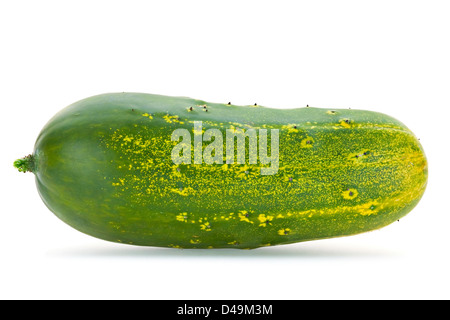 Cetriolo gigante surmature isolati su sfondo bianco Foto Stock