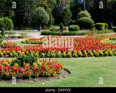 Vista della città dei Giardini Botanici di Brisbane Queensland AUSTRALIA Foto Stock